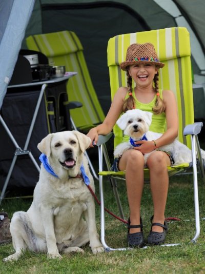 Wohnmobil-Reisen mit Hund - Tipps und Tricks